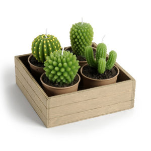 4-bougies-cactus-support-bois-500-13-35-71021219_2