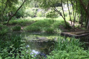 Jardin Naturel Paris MonsieurMadame Claudia