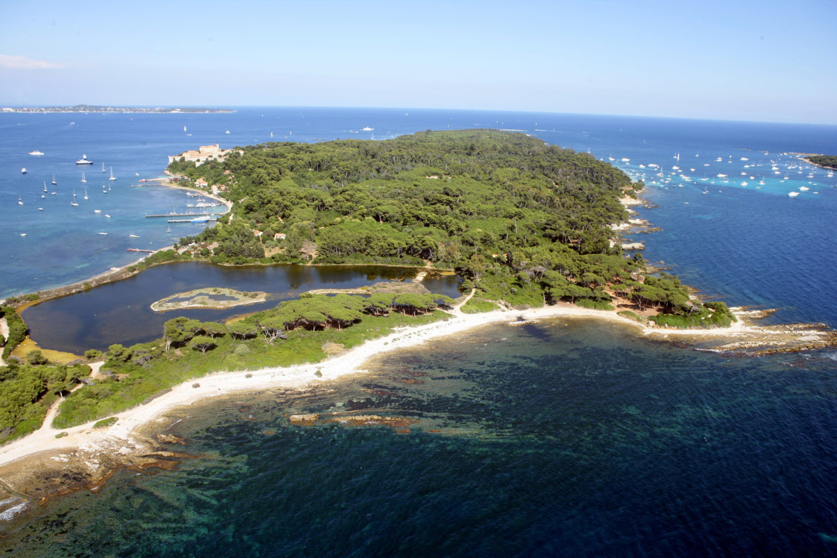 île Saint-Marguerite et sa forêt Source: Flickr
