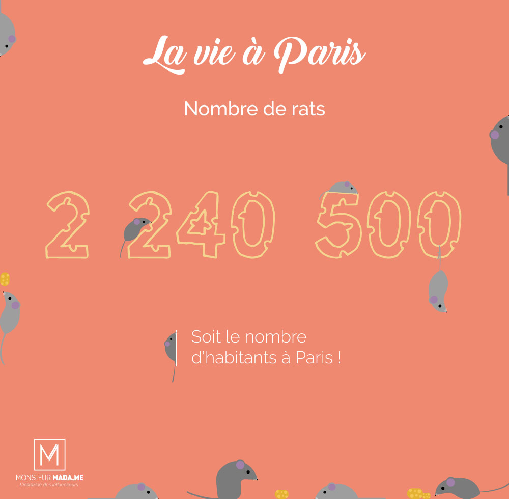 Monsieur Madame La vie à Paris : le nombre de rats