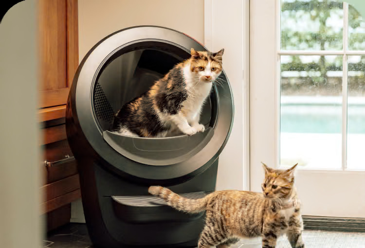 Whisker, la marque de litière révolutionnaire célèbre ses 25 ans d’innovation